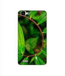 Amazon Brand - Solimo Designer Leaf Photography 3D Printed Hard Back Case Mobile Cover for Vivo Y27L