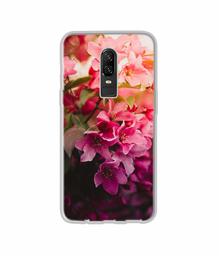 Amazon Brand - Solimo Designer Blossom Weather UV Printed Soft Back Case Mobile Cover for OnePlus 6