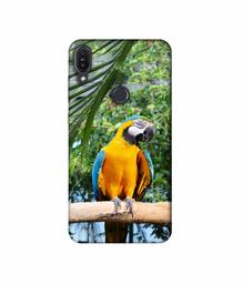 Amazon Brand - Solimo Designer Macaw Bird 3D Printed Hard Back Case Mobile Cover for Asus Zenfone Max Pro M1 ZB601KL