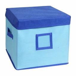 Amazon Brand - Solimo Fabric Storage Box with Lid, Large, Medical Blue and Royal Blue