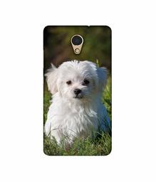 Amazon Brand - Solimo Designer White Dog 3D Printed Hard Back Case Mobile Cover for Lenovo P2