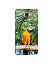 Amazon Brand - Solimo Designer Macaw Bird 3D Printed Hard Back Case Mobile Cover for Samsung Galaxy A9 Pro