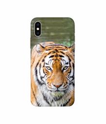 Amazon Brand - Solimo Designer Tiger in Water 3D Printed Hard Back Case Mobile Cover for Apple iPhone Xs Max