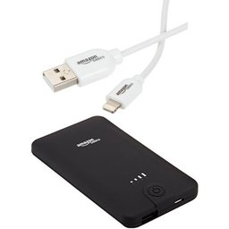 AmazonBasics PowerBank (5,600 mAh) and Lightning Cable (6 Feet - White)