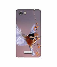 Amazon Brand - Solimo Designer Bird 3D Printed Hard Back Case Mobile Cover for Micromax Canvas Unite 3 Q372