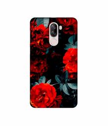 Amazon Brand - Solimo Designer Rose Photography UV Printed Soft Back Case Mobile Cover for iVooMi i1