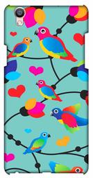 Amazon Brand - Solimo Designer Birds Patterns Design 3D Printed Hard Back Case Mobile Cover for Oppo F1 Plus