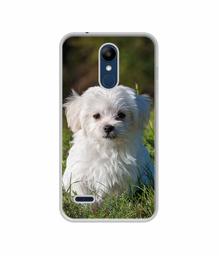 Amazon Brand - Solimo Designer White Dog UV Printed Soft Back Case Mobile Cover for LG K9