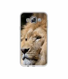 Amazon Brand - Solimo Designer Lion UV Printed Soft Back Case Mobile Cover for Samsung Galaxy E5