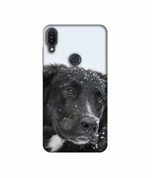 Amazon Brand - Solimo Designer Labrador Dog 3D Printed Hard Back Case Mobile Cover for Asus Zenfone Max Pro M1 ZB601KL