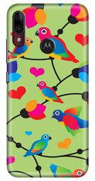 Amazon Brand - Solimo Designer Birds Patterns Design 3D Printed Hard Back Case Mobile Cover for Motorola Moto E6s / Motorola Moto E6 Plus