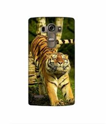 Amazon Brand - Solimo Designer Tiger 3D Printed Hard Back Case Mobile Cover for LG G4 Stylus