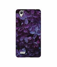 Amazon Brand - Solimo Designer Purple Flowers UV Printed Soft Back Case Mobile Cover for Vivo Y31