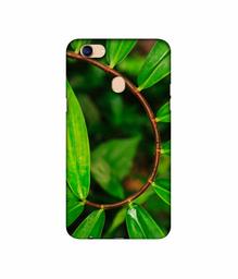 Amazon Brand - Solimo Designer Leaf Photography 3D Printed Hard Back Case Mobile Cover for Oppo F5