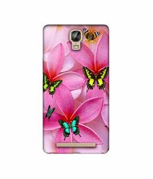 Amazon Brand - Solimo Designer B-Butterflies 3D Printed Hard Back Case Mobile Cover for Gionee Marathon M5 Plus