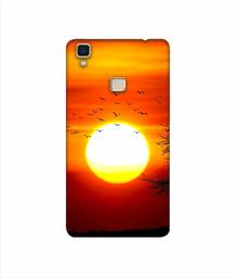 Amazon Brand - Solimo Designer Sunset View 3D Printed Hard Back Case Mobile Cover for Vivo V3 Max