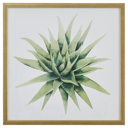 Amazon Brand – Stone & Beam Muted Aloe Vera Print Framed Wall Art Decor - 20