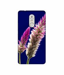 Amazon Brand - Solimo Designer Wheat Flower 3D Printed Hard Back Case Mobile Cover for Lenovo K6 Note