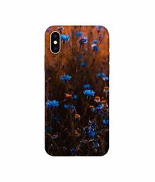 Amazon Brand - Solimo Designer Flower Photograpy 3D Printed Hard Back Case Mobile Cover for Apple iPhone Xs Max