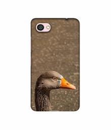 Amazon Brand - Solimo Designer Duck Face 3D Printed Hard Back Case Mobile Cover for Xiaomi Redmi Y1 Lite