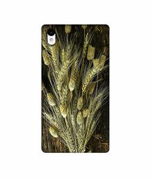 Amazon Brand - Solimo Designer Wheat Plants 3D Printed Hard Back Case Mobile Cover for Sony Xperia Z2