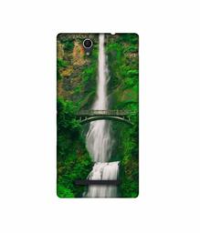 Amazon Brand - Solimo Designer Waterfall 3D Printed Hard Back Case Mobile Cover for Sony Xperia C3 Dual