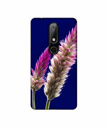 Amazon Brand - Solimo Designer Wheat Flower 3D Printed Hard Back Case Mobile Cover for Nokia 6.1 Plus