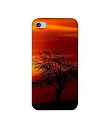 Amazon Brand - Solimo Designer Nature View 3D Printed Hard Back Case Mobile Cover for Apple iPhone 4 / 4S