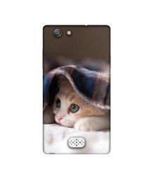 Amazon Brand - Solimo Designer Sleepy Kitten UV Printed Soft Back Case Mobile Cover for Oppo Neo 5 (2015)