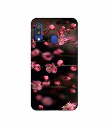 Amazon Brand - Solimo Designer Pink Flowers 3D Printed Hard Back Case Mobile Cover for Samsung Galaxy M20