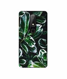 Amazon Brand - Solimo Designer Leaf Imperation 3D Printed Hard Back Case Mobile Cover for Nokia 6.1 Plus