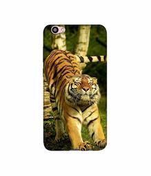 Amazon Brand - Solimo Designer Tiger 3D Printed Hard Back Case Mobile Cover for Vivo V5 Plus