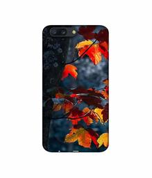 Amazon Brand - Solimo Designer Autumn Leaf 3D Printed Hard Back Case Mobile Cover for Oneplus 5