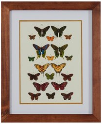 Modern Green and Gold Butterfly Print, Brown Frame, 14.25