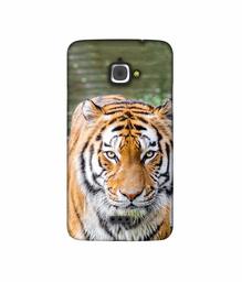 Amazon Brand - Solimo Designer Tiger in Water 3D Printed Hard Back Case Mobile Cover for InFocus M350