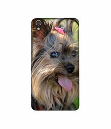 Amazon Brand - Solimo Designer Hairy Puppy 3D Printed Hard Back Case Mobile Cover for Lenovo S850