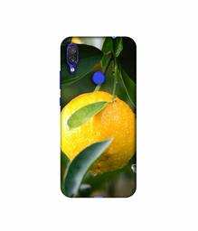 Amazon Brand - Solimo Designer Lemon 3D Printed Hard Back Case Mobile Cover for Xiaomi Redmi Note 7 Pro