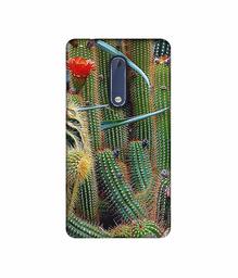 Amazon Brand - Solimo Designer Cactus 3D Printed Hard Back Case Mobile Cover for Nokia 5