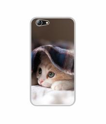 Amazon Brand - Solimo Designer Sleepy Kitten UV Printed Soft Back Case Mobile Cover for Micromax Canvas 2 Q4310