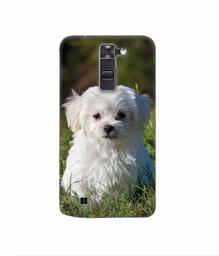 Amazon Brand - Solimo Designer White Dog 3D Printed Hard Back Case Mobile Cover for LG K7