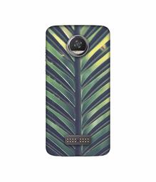 Amazon Brand - Solimo Designer Leaf Texture 3D Printed Hard Back Case Mobile Cover for Moto Z2 Play