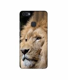 Amazon Brand - Solimo Designer Lion 3D Printed Hard Back Case Mobile Cover for Vivo V7