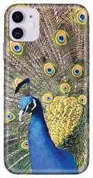 Amazon Brand - Solimo Designer Peacock Design 3D Printed Hard Back Case Mobile Cover for Apple iPhone 11