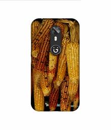 Amazon Brand - Solimo Designer Corns 3D Printed Hard Back Case Mobile Cover for Gionee A1