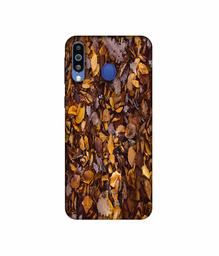 Amazon Brand - Solimo Designer Dry Leafs 3D Printed Hard Back Case Mobile Cover for Samsung Galaxy M21