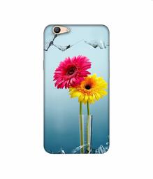 Amazon Brand - Solimo Designer Sun Flower 3D Printed Hard Back Case Mobile Cover for Oppo F1s