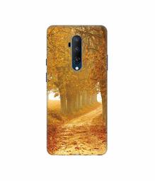 Amazon Brand - Solimo Designer Autumn Scene 3D Printed Hard Back Case Mobile Cover for OnePlus 7T Pro