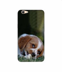 Amazon Brand - Solimo Designer Cute Puppy 3D Printed Hard Back Case Mobile Cover for Oppo F1s