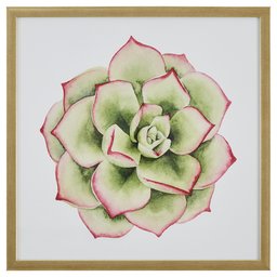 Amazon Brand – Stone & Beam Modern Green and Pink Tipped Succulent Print Wall Art Decor - 20