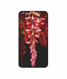 Amazon Brand - Solimo Designer Flowers Photograpy 3D Printed Hard Back Case Mobile Cover for Vivo Y66